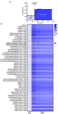 Gut-Derived Metabolite Indole-3-Propionic Acid Modulates Mitochondrial Function in Cardiomyocytes and Alters Cardiac Function
